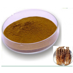 Buy Ginseng Extract