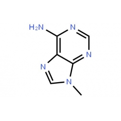 9-Methyladenine suppliers