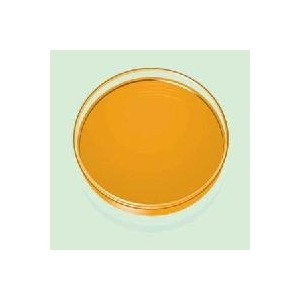 Buy Sunset Yellow