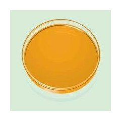 Buy Sunset Yellow