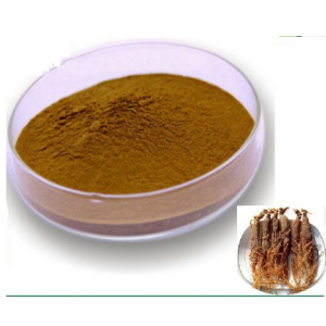 Buy Ginseng Extract