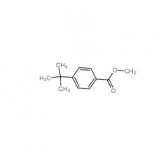 Methyl 4-tert-butylbenzoate CAS 26537-19-9 suppliers