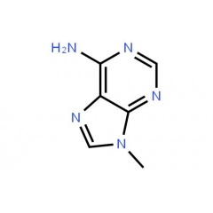 9-METHYLADENINE CAS 700-00-5