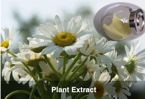 XI'AN PLANT EXTRACT SITE