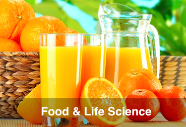 SHIJIAZHUANG LIFE SCIENCE SITE